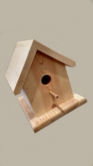 Ready to Paint Birdhouse